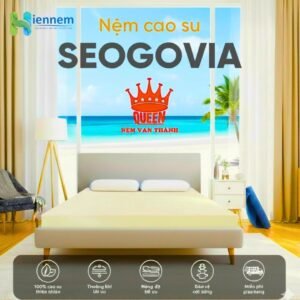 Nệm cao su thiên nhiên Vạn Thành SEGOVIA 1m8 x 2m x 10cm Sản Xuất 100% Mủ Cao Su Tự Nhiên
