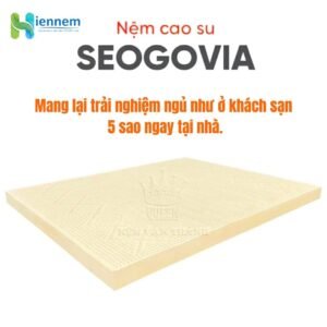Nệm cao su thiên nhiên Vạn Thành SEGOVIA 1m6 x 2m x 10cm Sản Xuất 100% Mủ Cao Su Tự Nhiên