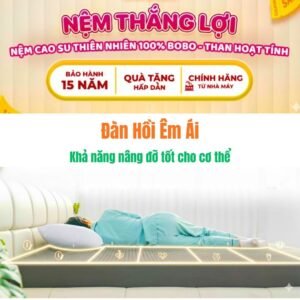 Nệm Thắng Lợi BOBO-THAN HOẠT TÍNH 1m6x2mx10cm Sản Xuất 100% Cao Su Thiên Nhiên