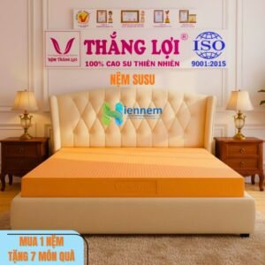 Nệm Thắng Lợi SUSU-ORIGINAL 1m8x2mx10cm Sản Xuất từ 100% Cao Su Thiên Nhiên