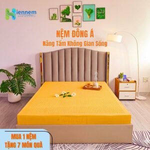 Nệm Cao Su Thiên Nhiên Đông Á-Đầy Đủ Kích Thước