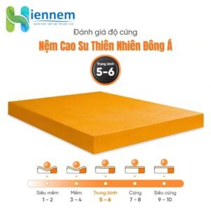 Nệm Cao Su Thiên Nhiên Đông Á 1m6 x 2m x 10cm