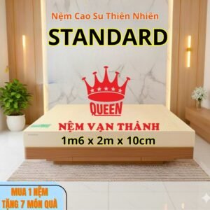 Nệm Cao Su Thiên Nhiên Vạn Thành Standard 1m6x2mx10cm