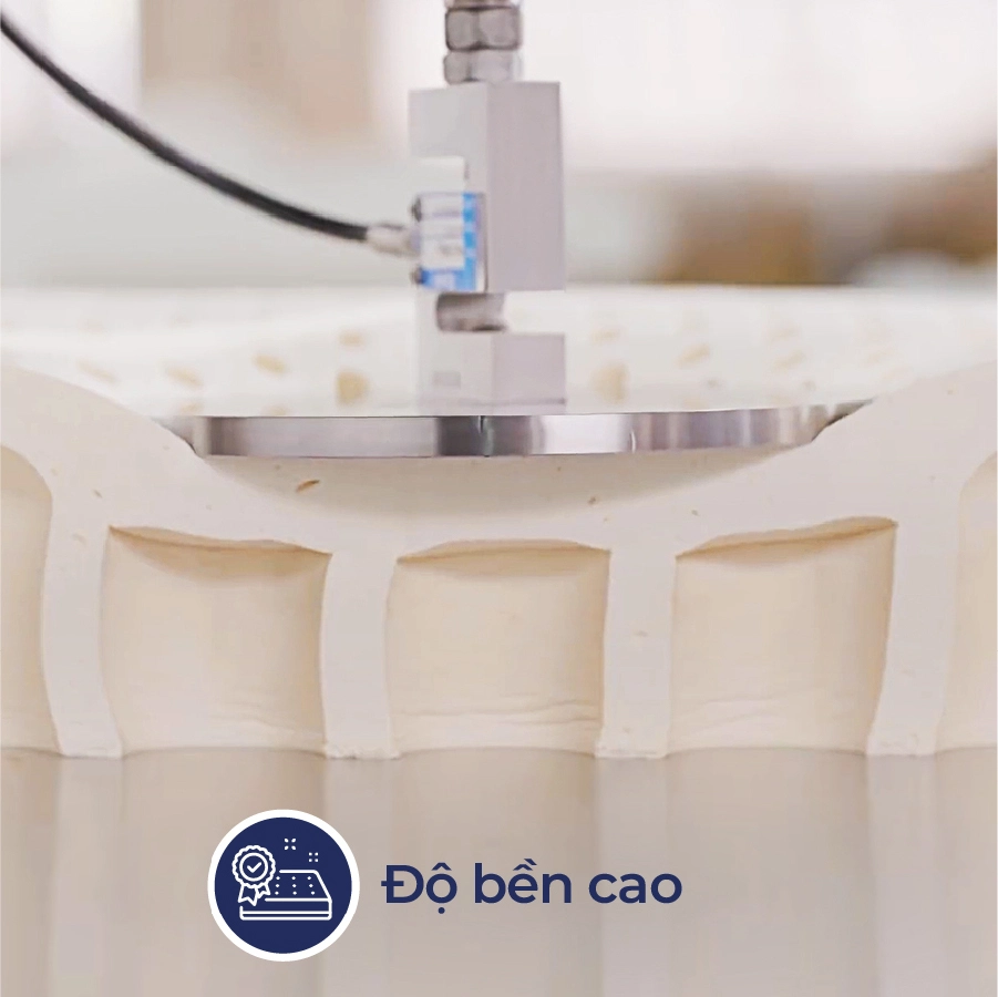 nem-cao-su-thien-nhien-lien-a-classic-LJ3zNb