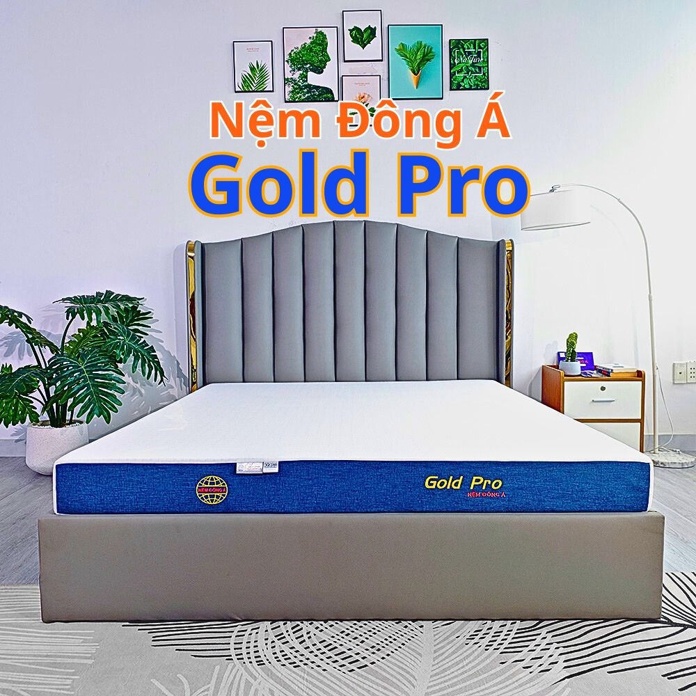 Nệm Foam Đông Á Gold Pro