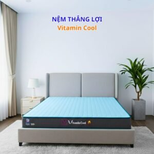 Nệm Điều Hòa Thắng Lợi Vitamin Cool Chính Hãng