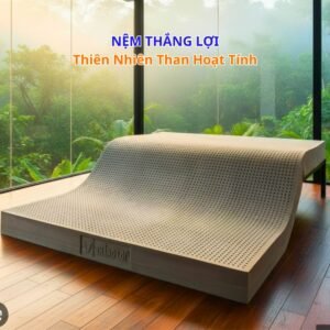 Nệm Thắng Lợi BOBO-THAN HOẠT TÍNH Sản Xuất 100% Cao Su Thiên Nhiên