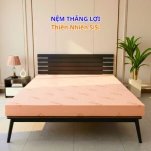 Nệm Thắng Lợi SiSi-ADVANCED Sản Xuất từ 100% Cao Su Thiên Nhiên