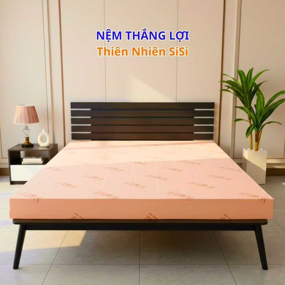 Nệm Thắng Lợi SiSi-ADVANCED Sản Xuất từ 100% Cao Su Thiên Nhiên