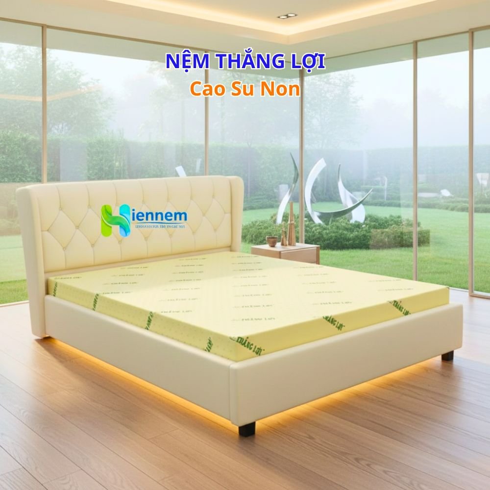 Nệm Cao Su Non Thắng Lợi