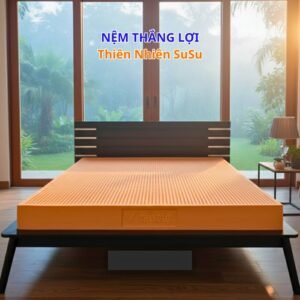 Nệm Thắng Lợi SUSU-ORIGINAL Sản Xuất từ 100% Cao Su Thiên Nhiên