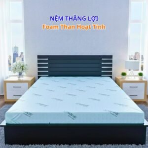 Nệm Cao Su Hoạt Tính Thắng Lợi