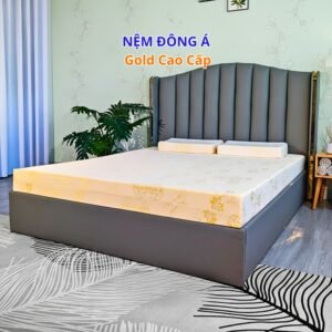 Nệm Foam Đông Á Gold